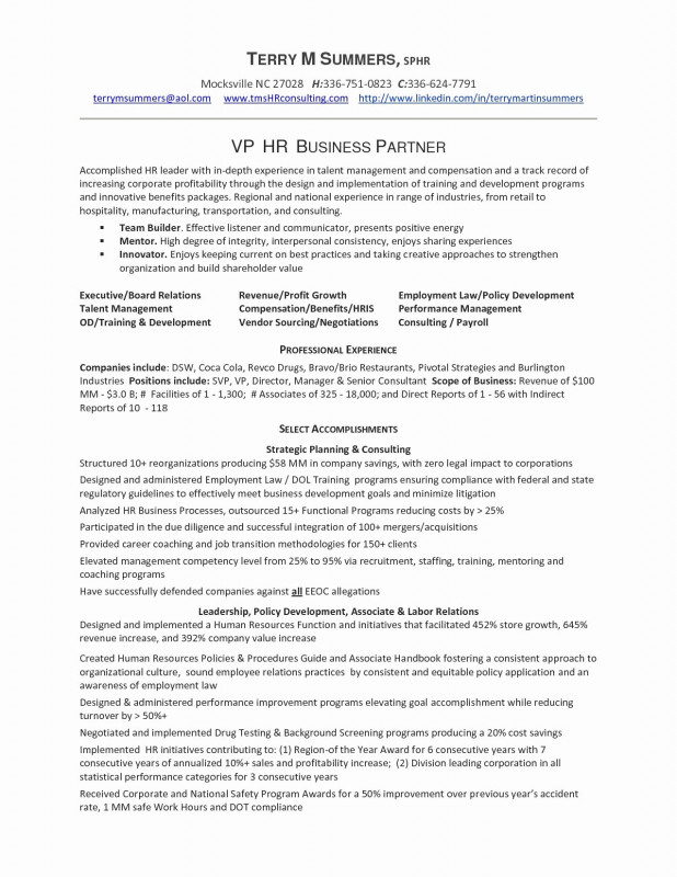 Cognos Report Design Document Template Awesome Resume Examples for Vp Of Sales Elegant Photography Example Job