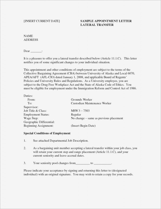 College Book Report Template Unique 97 Sample Resume Summaries Professional Resume Summary Examples