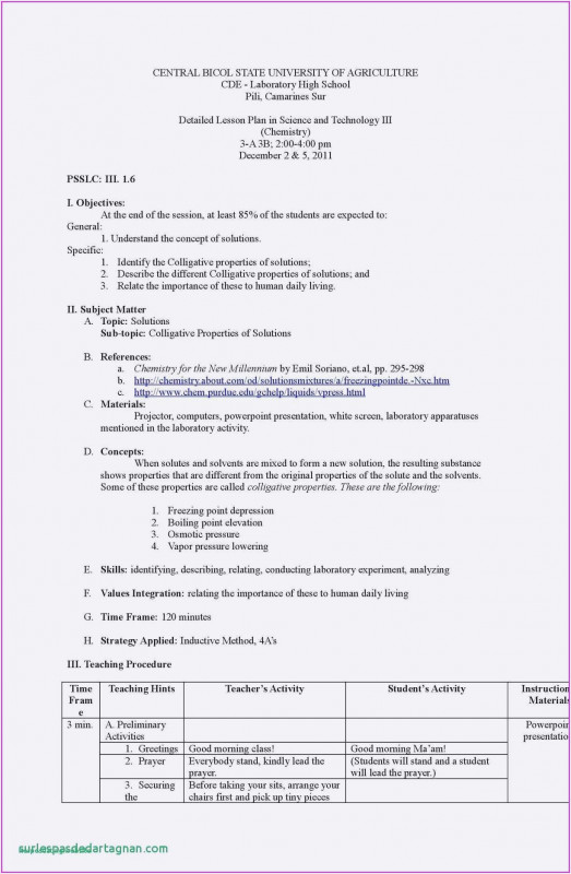 Daily Activity Report Template Unique Business Activity Report Template Easybusinessfinance Net