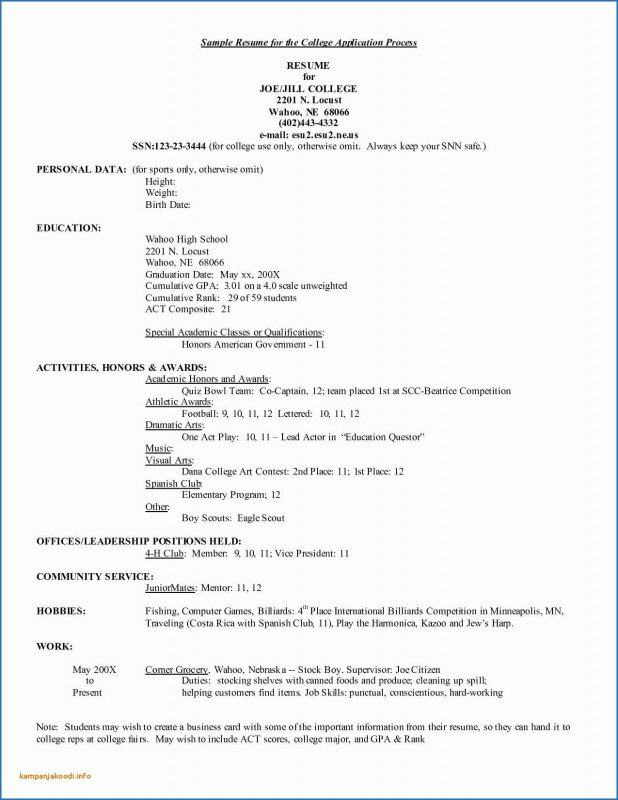 Daycare Infant Daily Report Template Professional Child Care Resume Template Best Of Child Care assistance Application