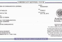 Editable Birth Certificate Template Unique How to Get A Birth Certificate In Memphis Tn Simplex Tn Birth