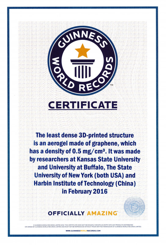 Felicitation Certificate Template New Guinness World Record Certificate Template Eymir Mouldings Co