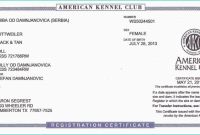Jct Practical Completion Certificate Template Unique Birth Certificate Sample Of Nepal Great Certificate Installation