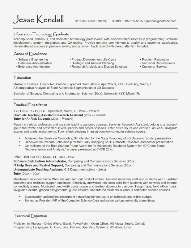 Report Requirements Template New Resume Template Information Technology Professional Valid Resume