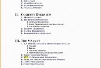 Report Requirements Template Professional Business Analyst Report Template Caquetapositivo