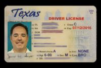 Blank Drivers License Template Unique Driver License Template Free Clipart Images Gallery for Free