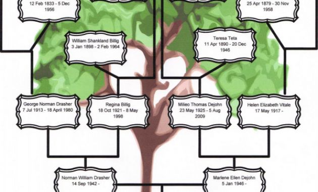 Blank Family Tree Template 3 Generations Unique Family Tree Template Family Tree Template for 3 Generations