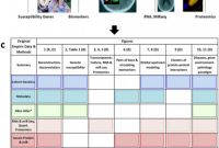 Folder Spine Labels Template Unique toxoplasma Modulates Signature Pathways Of Human Epilepsy