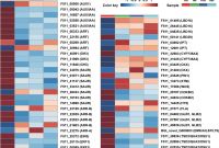 Half Fold Menu Template Unique A Role Of Age Dependent Dna Methylation Reprogramming In