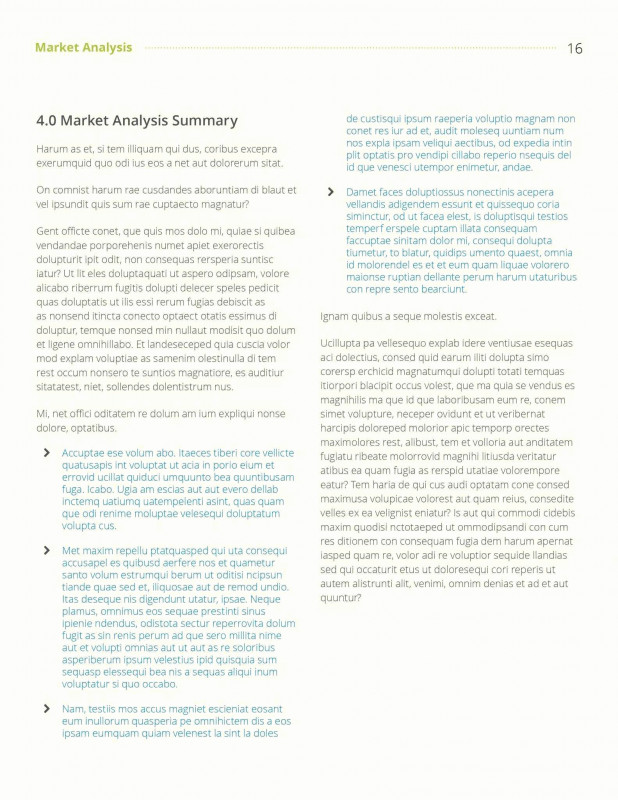 Analytical Report Template Professional Sample Of Audit Report Writing Beautiful Internal Audit Report
