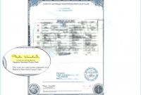 Baby Death Certificate Template Awesome Pretty Baby Death Certificate Template Pictures Awesome Baby Death