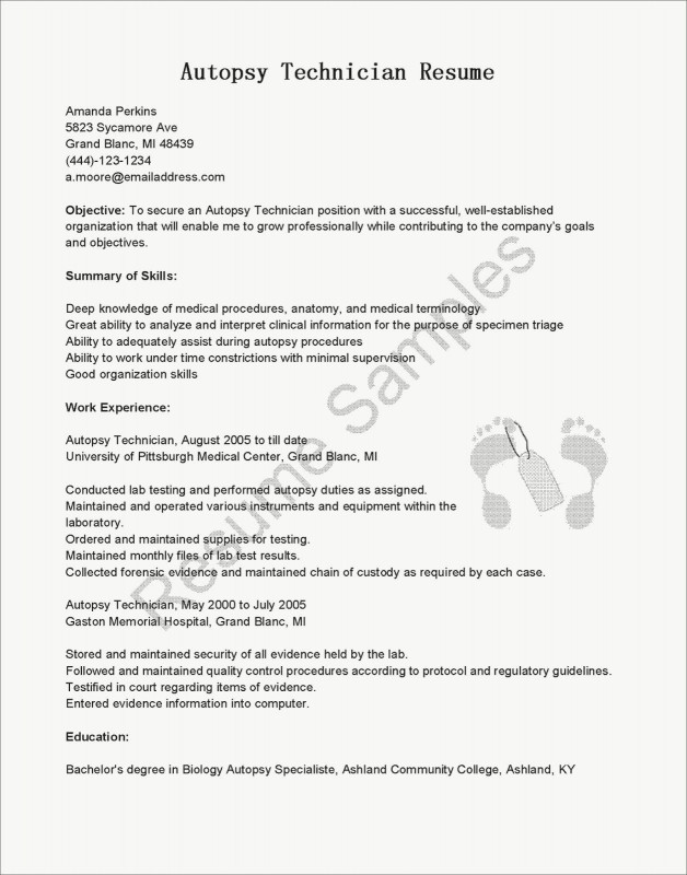 Biology Lab Report Template Unique Computer Tech Resume Examples New Medical Resume Template Med School