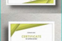 Borderless Certificate Templates Unique Certificate Of Appreciation Guest 28 Free Certificate Pletion