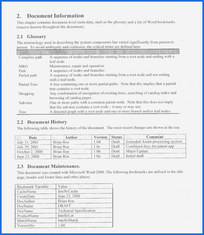 Consultant Report Template Professional Credit Report Template Download Koman Mouldings Co