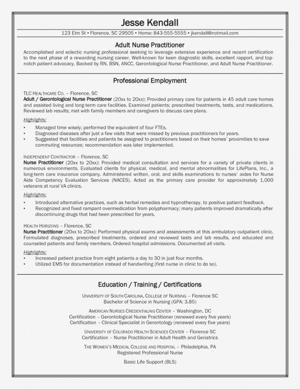 Continuing Education Certificate Template New Resume Sample It Professional Valid Rn Resume Sample Luxury