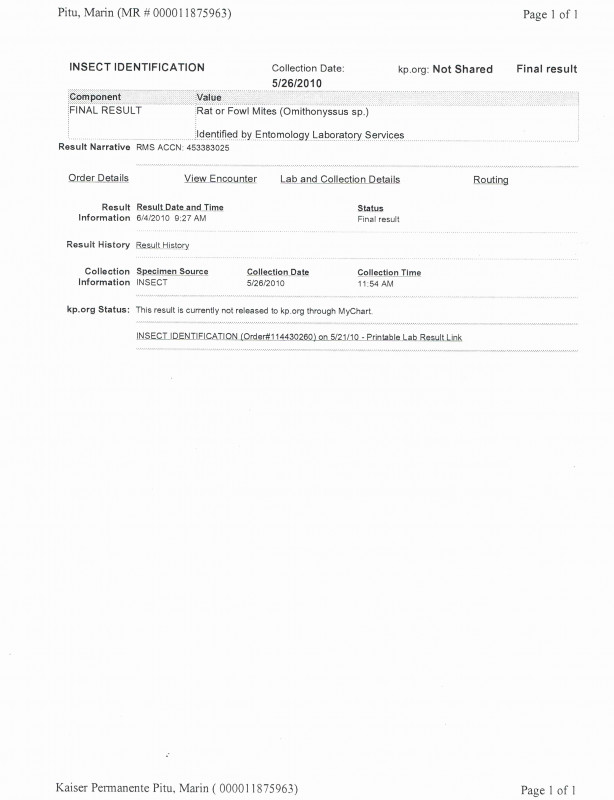 Free Fake Medical Certificate Template New Blank Kaiser Doctors Note Elegant Fake Medical Certificate Template