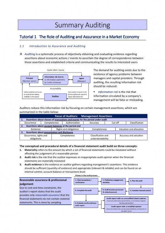 Internal Control Audit Report Template New Auditing Summary Ebc2058 Studocu