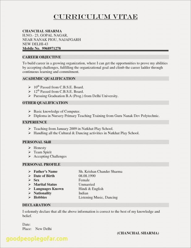 Month End Report Template New Training On the Job Beispiele Frisch Cv Resume Example Doc Valid