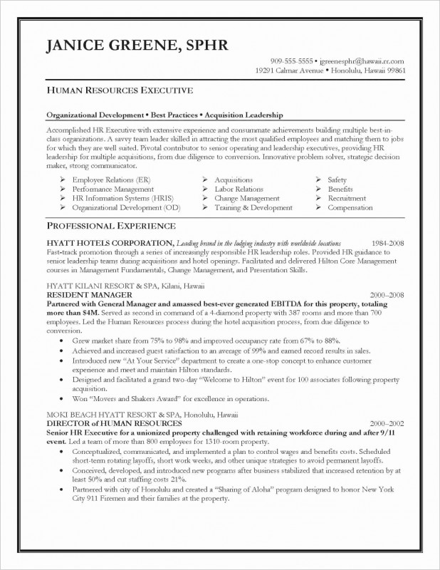 One Page Book Report Template New One Page Executive Summary Example Awesome Inspirational Example
