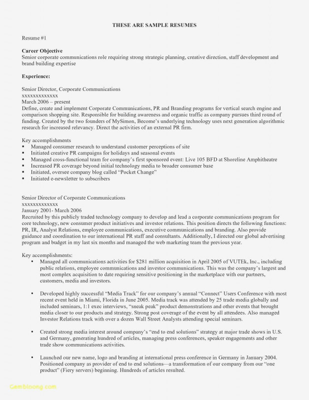 One Page Book Report Template Unique One Page Business Summary Template Caquetapositivo