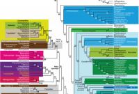 Pci Dss Gap Analysis Report Template Unique Phylogeny Of Paleozoic Limbed Vertebrates Reassessed Through