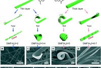 Sandwich Book Report Template Unique Nanoarchitectonics Through Supramolecular Gelation formation and