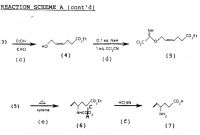 Skeleton Book Report Template Unique Ep0546906b1 Novel Process for Preparing 4 Amino 5 Hexenoic Acid