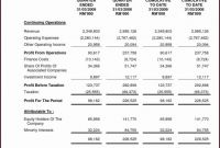 Treasurer Report Template Unique 12 Sample Treasurers Report for Non Profit Example Templates