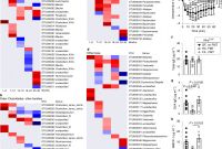 Weekly Test Report Template Unique Microbiota therapy Acts Via A Regulatory T Cell Myd88 Rori³t Pathway