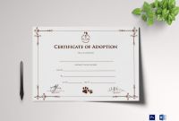 Blank Adoption Certificate Template New Simple Adoption Certificate Template
