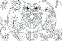 Blank Face Template Preschool Unique Coloring Pages Free Printable Coloring Pictures Of Owls
