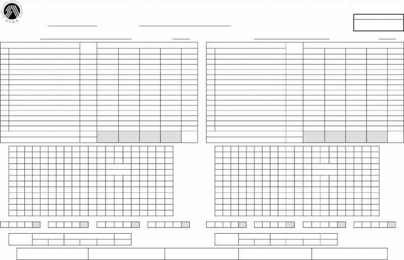 Blank Football Depth Chart Template New 008 Template Ideas softball Lineup Excel Stupendous Batting