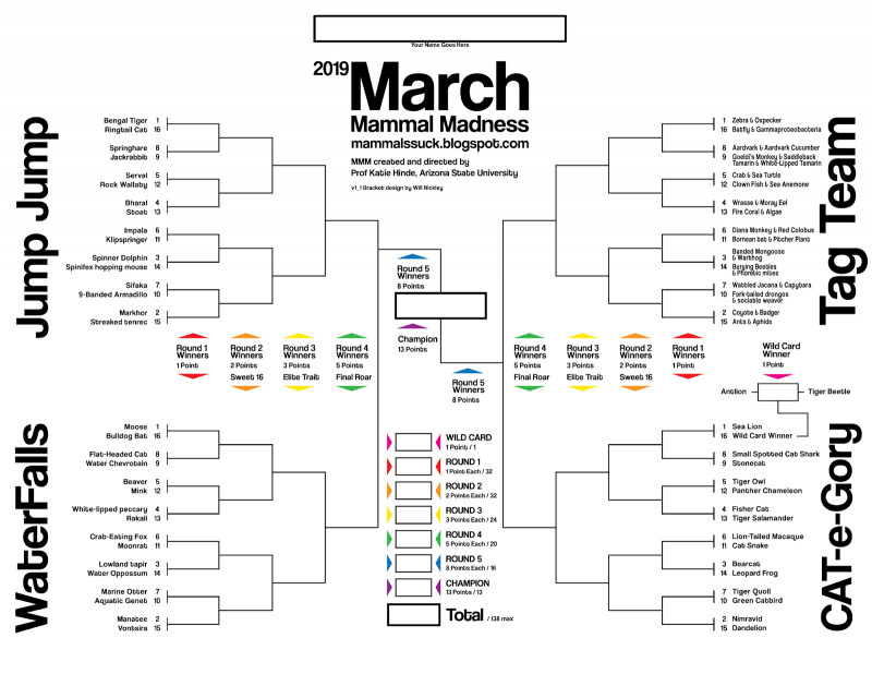 Blank March Madness Bracket Template New March Mammal Madness is the