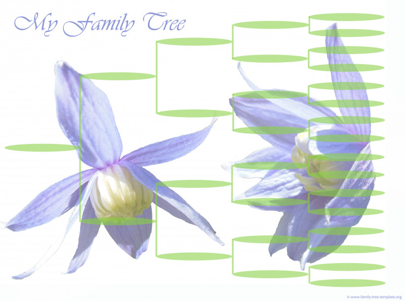 Blank Tree Diagram Template Awesome Family Tree Diagram Template these Free Children and Use