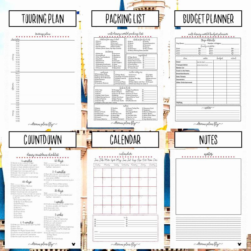 3x8 Label Template Awesome Spreadsheet Wl Strength Training Templates Sample Female Day