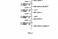Template for Circle Labels Awesome Us4863849a Automatable Process for Sequencing Nucleotide