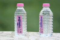Water Bottle Label Template Free Word New Bottled Water Wikipedia