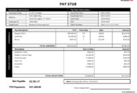 Blank Pay Stub Template In Microsoft Word