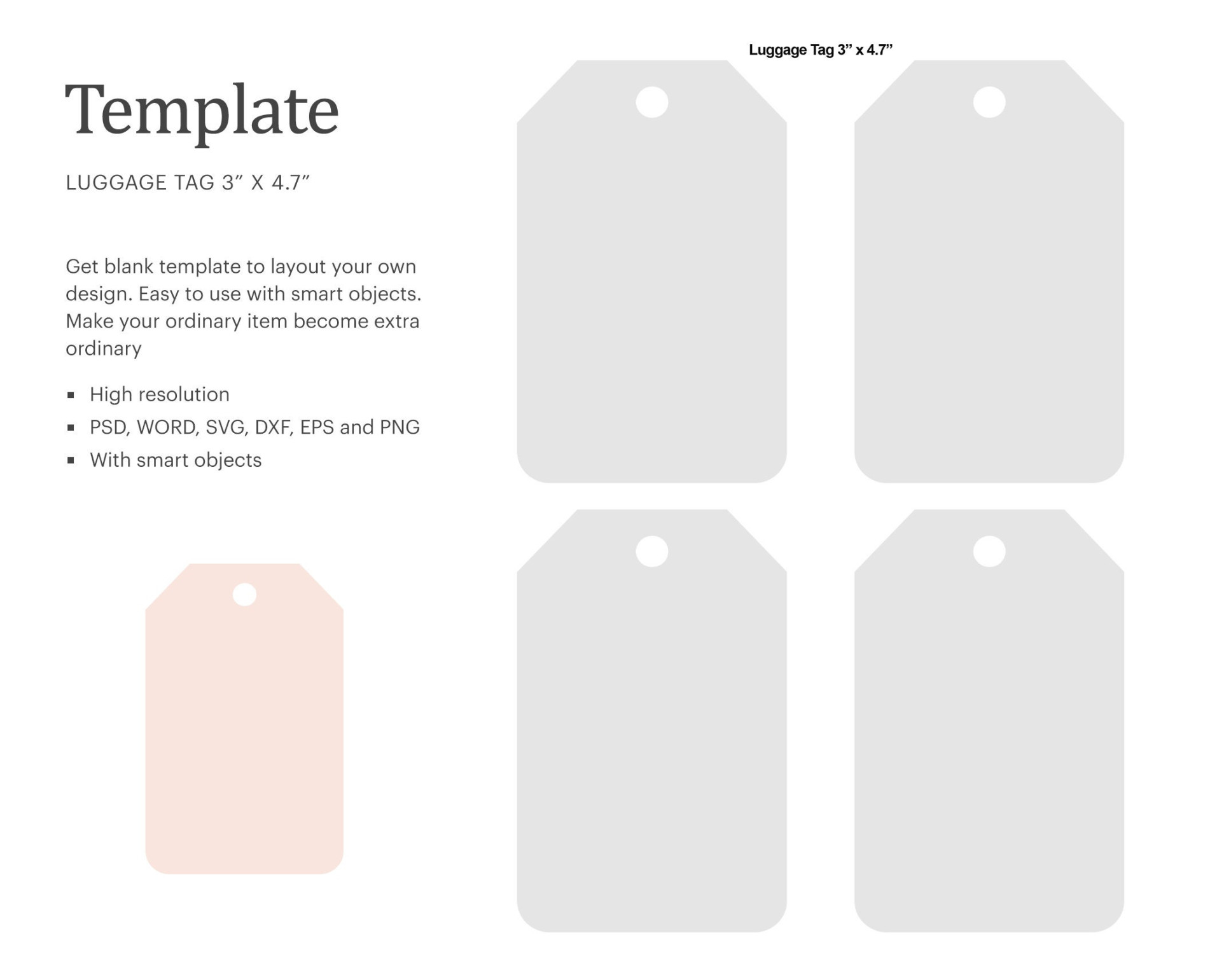 Luggage Tag Blank Template  X