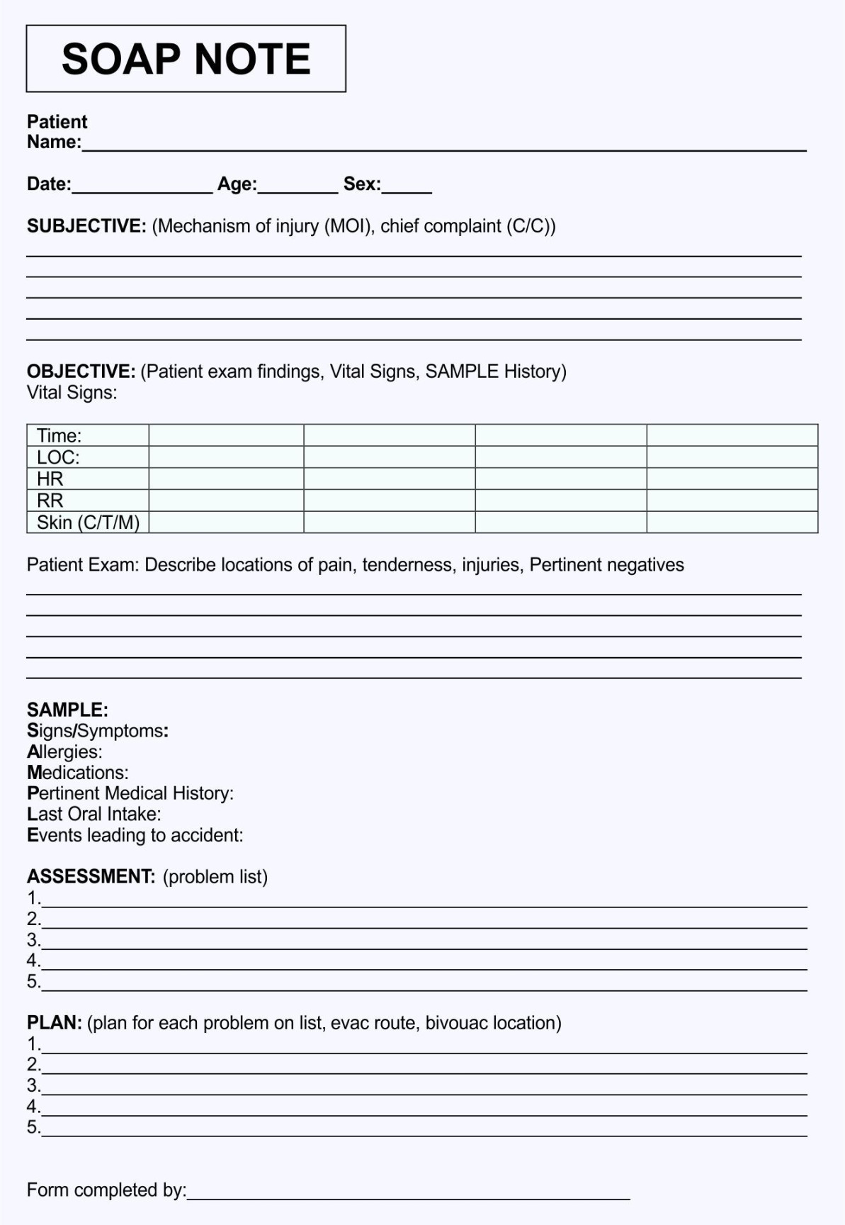 Nurses Notes Template -  Free PDF Printables  Printablee